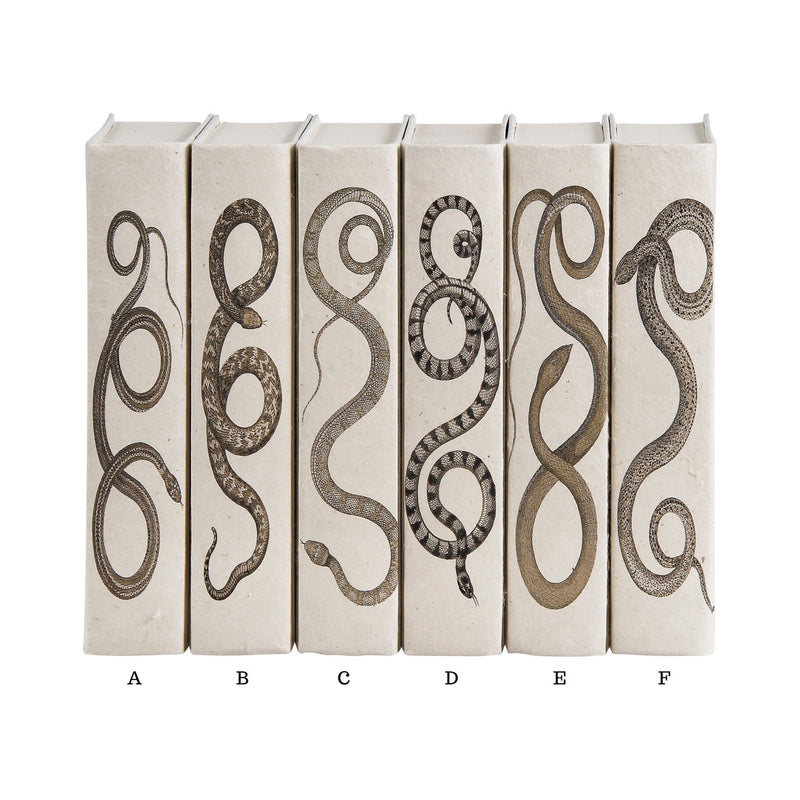 Snake Decorative Book