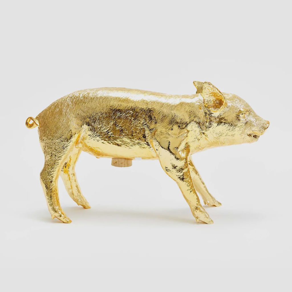 Bank in the Form of a Pig